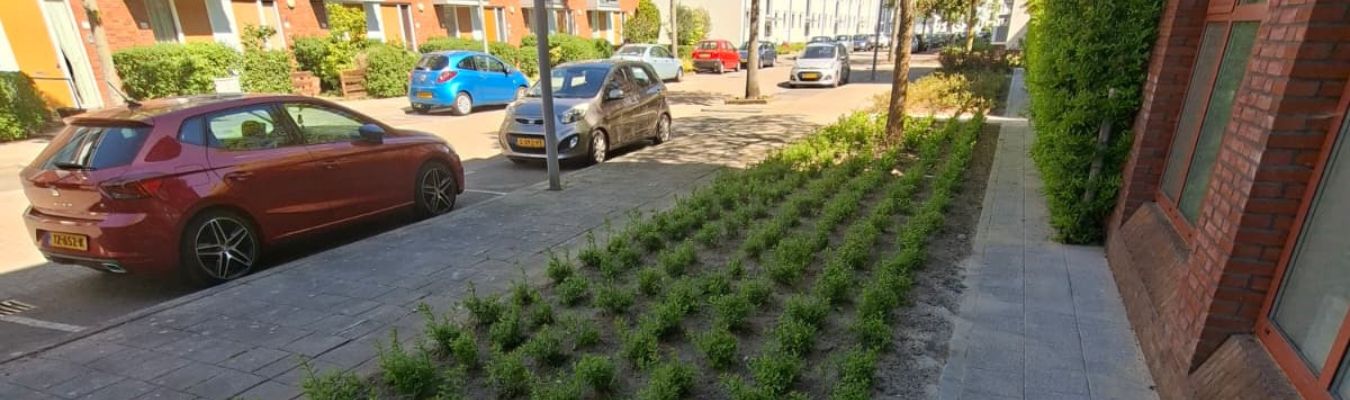Renovatie groenvoorziening rondom wooncomplex in Rotterdam