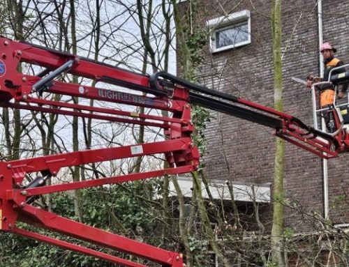 Spoedwerkzaamheden na boomveiligheidscontrole