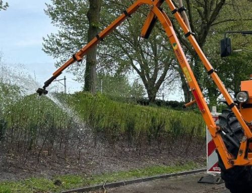 Water geven aan bomen en heesters tijdens droge periodes