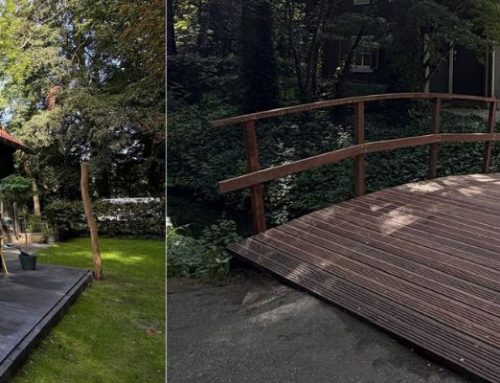 Tuin opknappen voor particuliere klant in Dordrecht